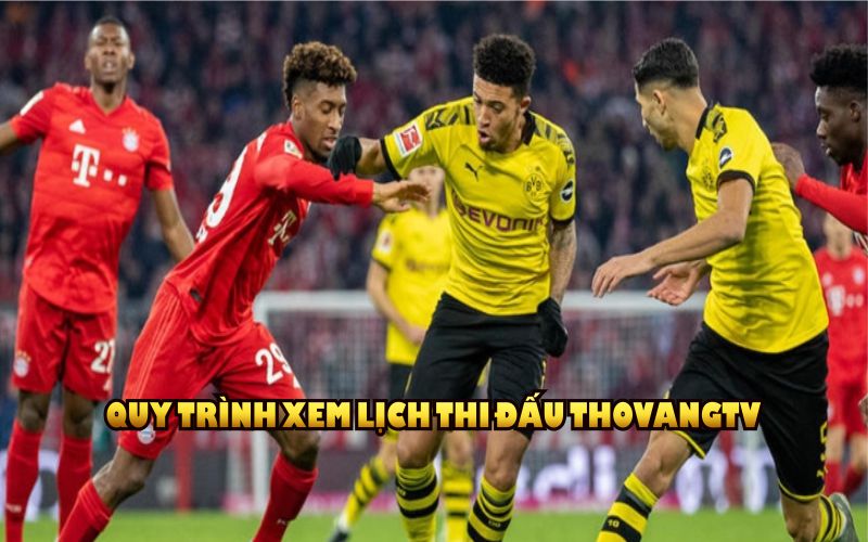 Quy trình xem lịch thi đấu ThoVangTV thật tiện lợi nhất