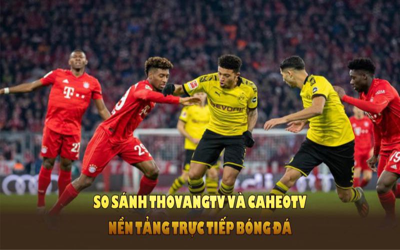 So sánh ThoVangTV và CaheoTV nền tảng trực tiếp bóng đá