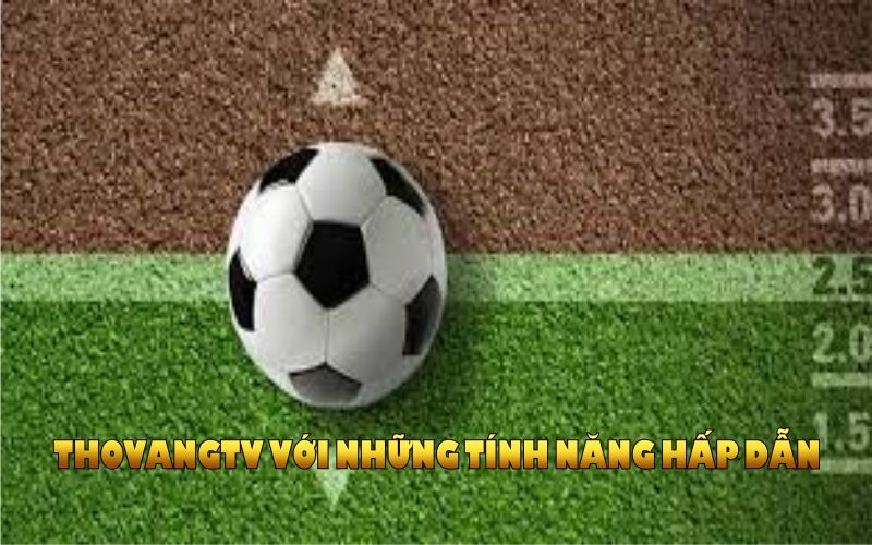 ThoVangTV với những tính năng hấp dẫn đáng chú ý nhất