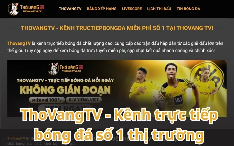 ThoVangTV - Địa chỉ xem bóng đá miễn phí full HD hàng đầu 2025