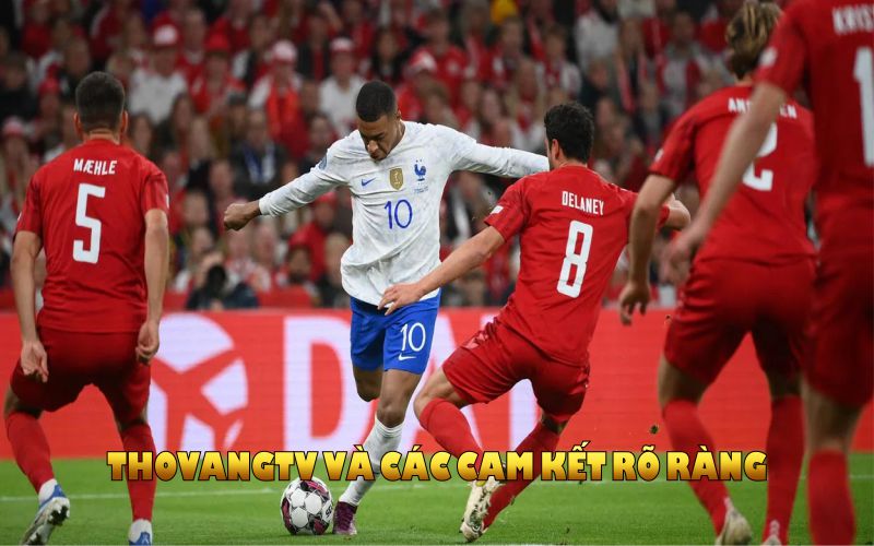ThoVangTV và các cam kết rõ ràng nâng cao trải nghiệm xem bóng đá